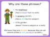 Phrases - Years 3 and 4 Teaching Resources (slide 8/29)